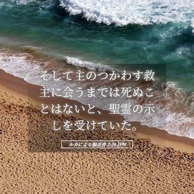 Picture 05 - ルカによる福音書 2:26 JPN - そして主のつかわす救主に会うまで - Bible Verse Picture