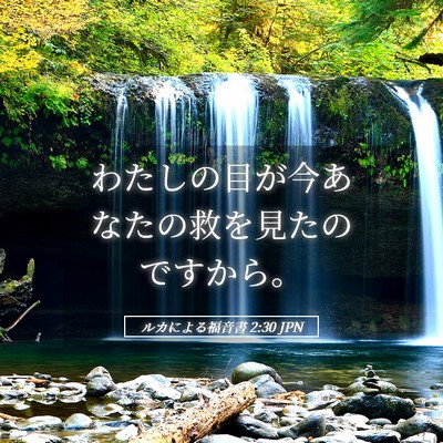 Picture 05 - ルカによる福音書 2:30 JPN - わたしの目が今あなたの救を見たの - Bible Verse Picture