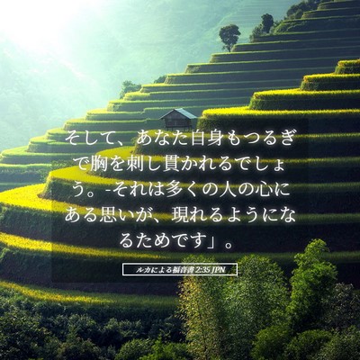 Picture 05 - ルカによる福音書 2:35 JPN - そして、あなた自身もつるぎで胸を - Bible Verse Picture