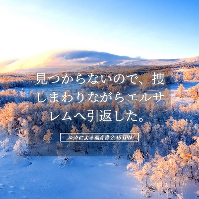 Picture 05 - ルカによる福音書 2:45 JPN - 見つからないので、捜しまわりなが - Bible Verse Picture