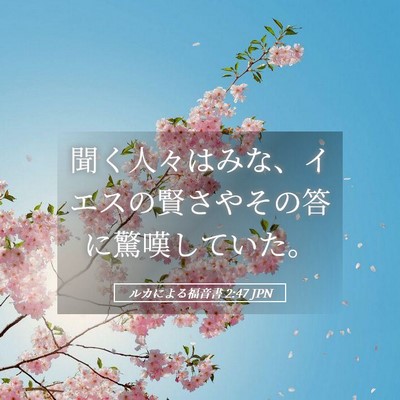 Picture 05 - ルカによる福音書 2:47 JPN - 聞く人々はみな、イエスの賢さやそ - Bible Verse Picture