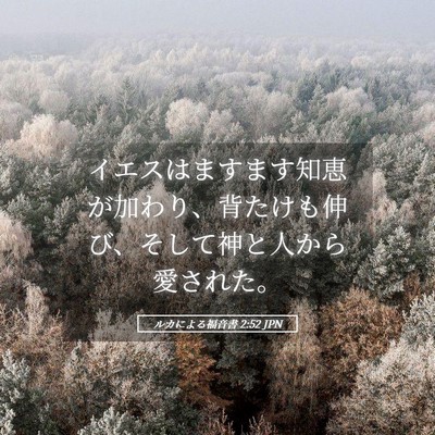 Picture 05 - ルカによる福音書 2:52 JPN - イエスはますます知恵が加わり、背 - Bible Verse Picture