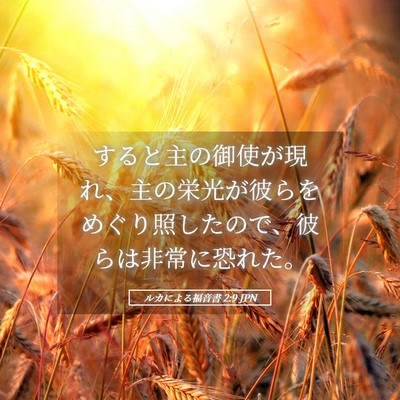Picture 05 - ルカによる福音書 2:9 JPN - すると主の御使が現れ、主の栄光が - Bible Verse Picture