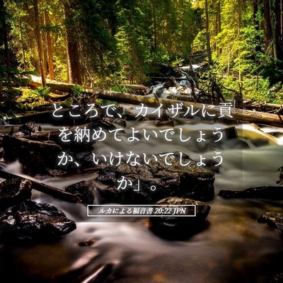 Picture 05 - ルカによる福音書 20:22 JPN - ところで、カイザルに貢を納めてよ - Bible Verse Picture