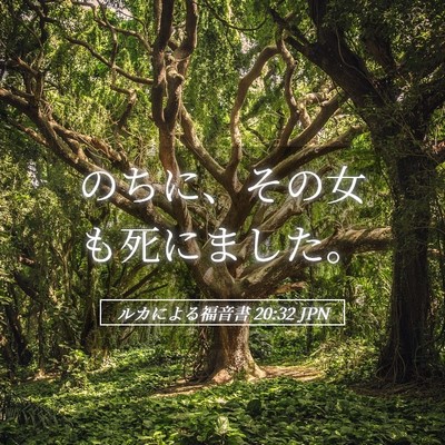 Picture 05 - ルカによる福音書 20:32 JPN - のちに、その女も死にました。 - Bible Verse Picture
