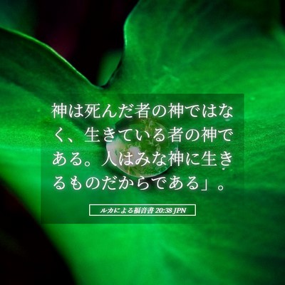Picture 05 - ルカによる福音書 20:38 JPN - 神は死んだ者の神ではなく、生きて - Bible Verse Picture