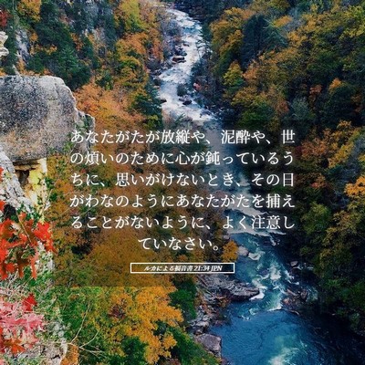 Picture 05 - ルカによる福音書 21:34 JPN - あなたがたが放縦や、泥酔や、世の - Bible Verse Picture