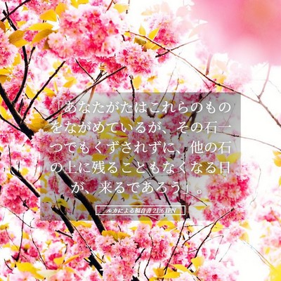 Picture 05 - ルカによる福音書 21:6 JPN - 「あなたがたはこれらのものをなが - Bible Verse Picture