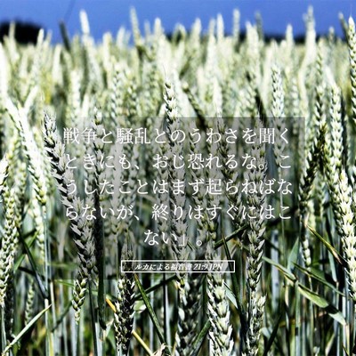 Picture 05 - ルカによる福音書 21:9 JPN - 戦争と騒乱とのうわさを聞くときに - Bible Verse Picture