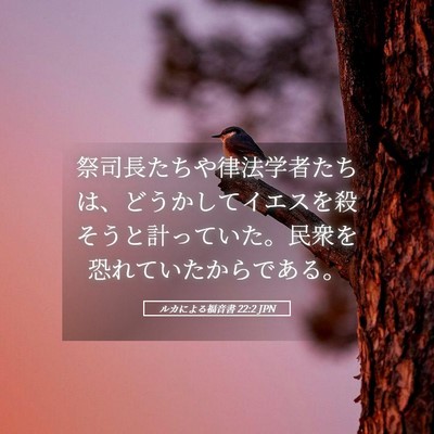 Picture 05 - ルカによる福音書 22:2 JPN - 祭司長たちや律法学者たちは、どう - Bible Verse Picture