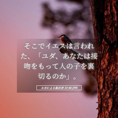 Picture 05 - ルカによる福音書 22:48 JPN - そこでイエスは言われた、「ユダ、 - Bible Verse Picture