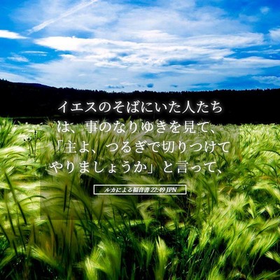 Picture 05 - ルカによる福音書 22:49 JPN - イエスのそばにいた人たちは、事の - Bible Verse Picture