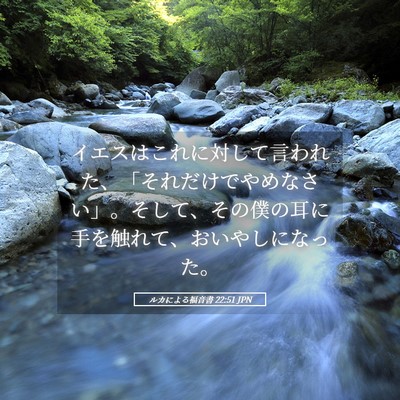 Picture 05 - ルカによる福音書 22:51 JPN - イエスはこれに対して言われた、「 - Bible Verse Picture