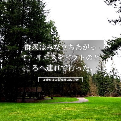 Picture 05 - ルカによる福音書 23:1 JPN - 群衆はみな立ちあがって、イエスを - Bible Verse Picture