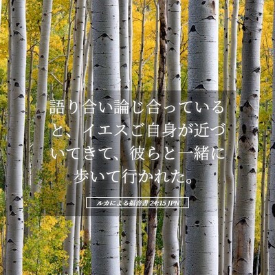 Picture 05 - ルカによる福音書 24:15 JPN - 語り合い論じ合っていると、イエス - Bible Verse Picture