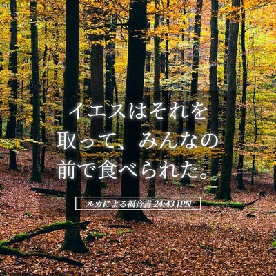 Picture 05 - ルカによる福音書 24:43 JPN - イエスはそれを取って、みんなの前 - Bible Verse Picture