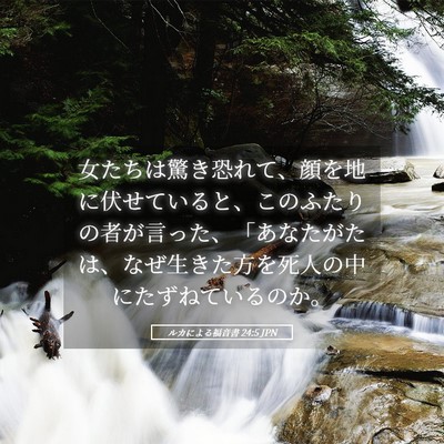 Picture 05 - ルカによる福音書 24:5 JPN - 女たちは驚き恐れて、顔を地に伏せ - Bible Verse Picture