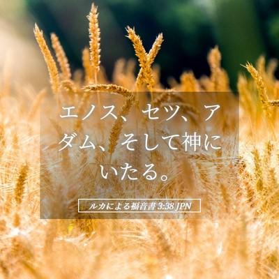 Picture 05 - ルカによる福音書 3:38 JPN - エノス、セツ、アダム、そして神に - Bible Verse Picture