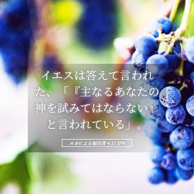 Picture 05 - ルカによる福音書 4:12 JPN - イエスは答えて言われた、「『主な - Bible Verse Picture