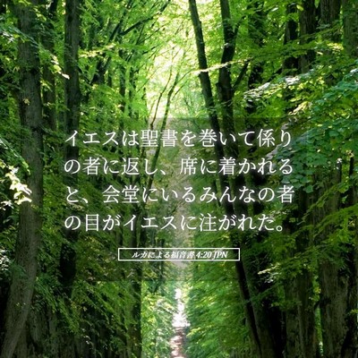 Picture 05 - ルカによる福音書 4:20 JPN - イエスは聖書を巻いて係りの者に返 - Bible Verse Picture