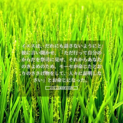 Picture 05 - ルカによる福音書 5:14 JPN - イエスは、だれにも話さないように - Bible Verse Picture
