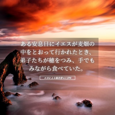 Picture 05 - ルカによる福音書 6:1 JPN - ある安息日にイエスが麦畑の中をと - Bible Verse Picture