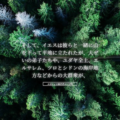 Picture 05 - ルカによる福音書 6:17 JPN - そして、イエスは彼らと一緒に山を - Bible Verse Picture