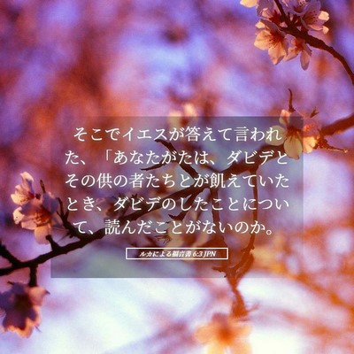 Picture 05 - ルカによる福音書 6:3 JPN - そこでイエスが答えて言われた、「 - Bible Verse Picture