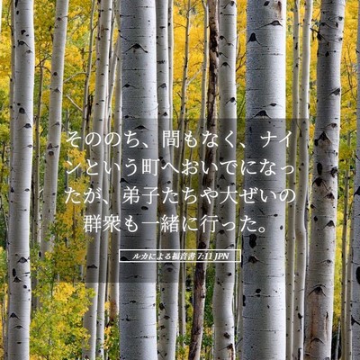 Picture 05 - ルカによる福音書 7:11 JPN - そののち、間もなく、ナインという - Bible Verse Picture