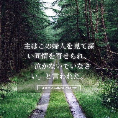 Picture 05 - ルカによる福音書 7:13 JPN - 主はこの婦人を見て深い同情を寄せ - Bible Verse Picture