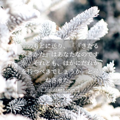 Picture 05 - ルカによる福音書 7:19 JPN - 主のもとに送り、「『きたるべきか - Bible Verse Picture