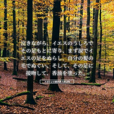 Picture 05 - ルカによる福音書 7:38 JPN - 泣きながら、イエスのうしろでその - Bible Verse Picture