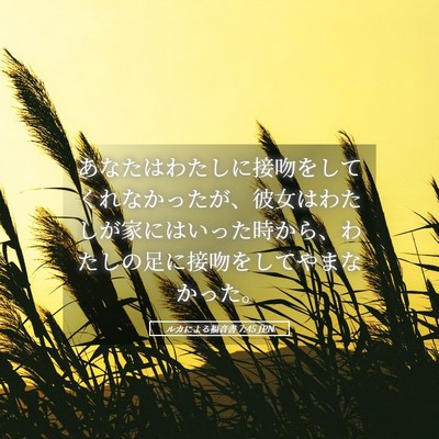 Picture 05 - ルカによる福音書 7:45 JPN - あなたはわたしに接吻をしてくれな - Bible Verse Picture