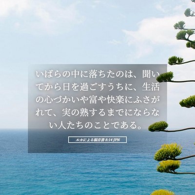 Picture 05 - ルカによる福音書 8:14 JPN - いばらの中に落ちたのは、聞いてか - Bible Verse Picture