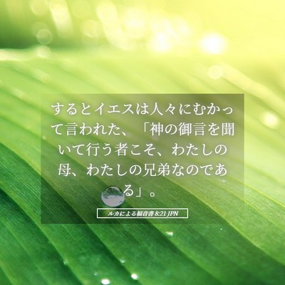 Picture 05 - ルカによる福音書 8:21 JPN - するとイエスは人々にむかって言わ - Bible Verse Picture