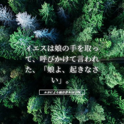 Picture 05 - ルカによる福音書 8:54 JPN - イエスは娘の手を取って、呼びかけ - Bible Verse Picture