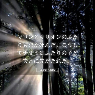 Picture 05 - ルツ記 1:5 JPN - マロンとキリオンのふたりもまた死 - Bible Verse Picture