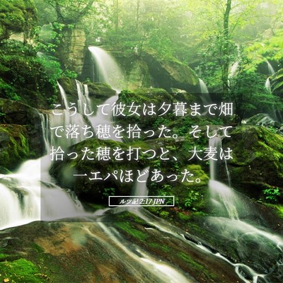 Picture 05 - ルツ記 2:17 JPN - こうして彼女は夕暮まで畑で落ち穂 - Bible Verse Picture