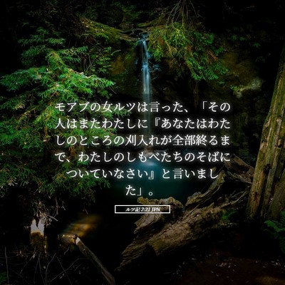 Picture 05 - ルツ記 2:21 JPN - モアブの女ルツは言った、「その人 - Bible Verse Picture