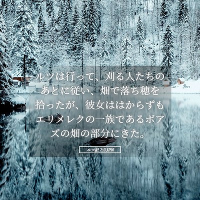 Picture 05 - ルツ記 2:3 JPN - ルツは行って、刈る人たちのあとに - Bible Verse Picture