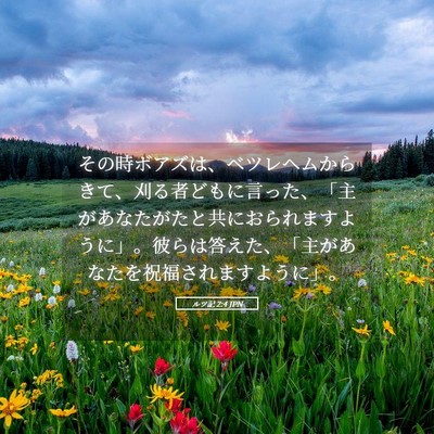 Picture 05 - ルツ記 2:4 JPN - その時ボアズは、ベツレヘムからき - Bible Verse Picture