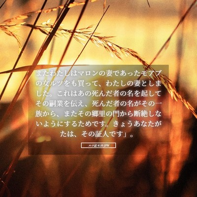 Picture 05 - ルツ記 4:10 JPN - またわたしはマロンの妻であったモ - Bible Verse Picture