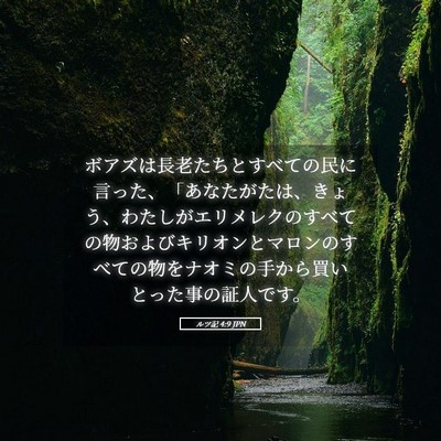 Picture 05 - ルツ記 4:9 JPN - ボアズは長老たちとすべての民に言 - Bible Verse Picture