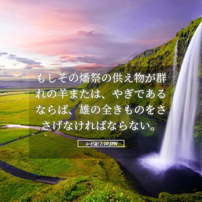 Picture 05 - レビ記 1:10 JPN - もしその燔祭の供え物が群れの羊ま - Bible Verse Picture