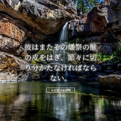 Picture 05 - レビ記 1:6 JPN - 彼はまたその燔祭の獣の皮をはぎ、 - Bible Verse Picture
