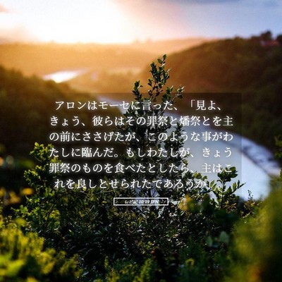 Picture 05 - レビ記 10:19 JPN - アロンはモーセに言った、「見よ、 - Bible Verse Picture