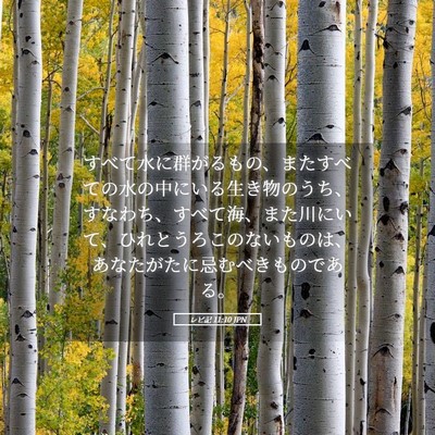 Picture 05 - レビ記 11:10 JPN - すべて水に群がるもの、またすべて - Bible Verse Picture
