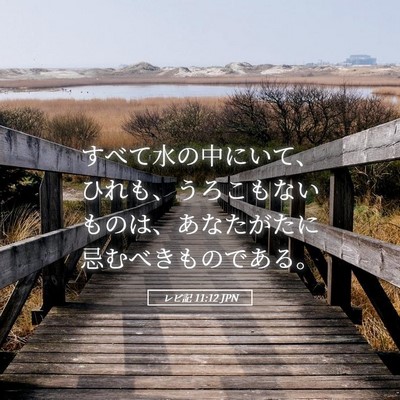 Picture 05 - レビ記 11:12 JPN - すべて水の中にいて、ひれも、うろ - Bible Verse Picture