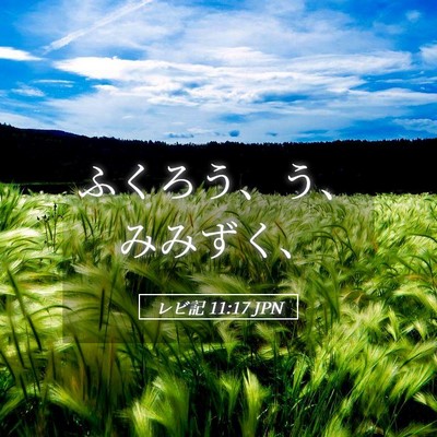 Picture 05 - レビ記 11:17 JPN - ふくろう、う、みみずく、 - Bible Verse Picture