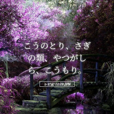 Picture 05 - レビ記 11:19 JPN - こうのとり、さぎの類、やつがしら - Bible Verse Picture